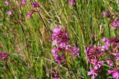 P5310873