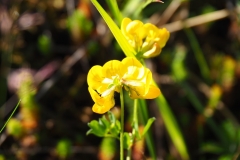 P5310877