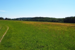 P5310892