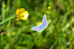 P5310910