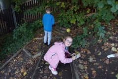 IMG_20231025_152639