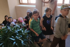 IMG20240514115437