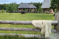 IMG20240617091110