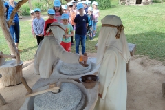 IMG20240617094120
