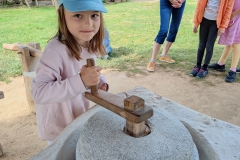 IMG20240617094456