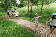 IMG20240617112044