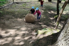 IMG20240617114238