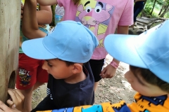IMG20240617115315