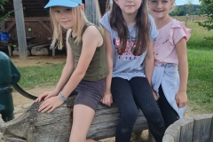 IMG20240617125806