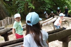 IMG_20240617_112544