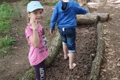 IMG_20240617_113555