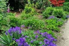 IMG_20250610_112254