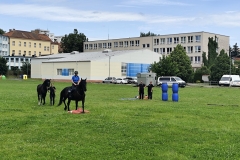 IMG_20250606_103408
