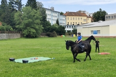 IMG_20250606_103412