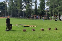 IMG_20250606_110803