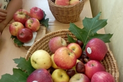 49cfe086-3453-41b4-878a-c7a8c25a6f69