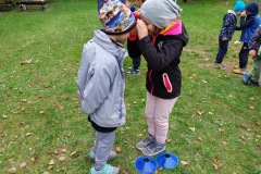 5cd457cf-4396-419b-ab1a-ab470f6686c6