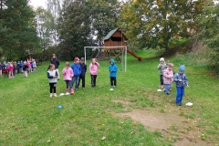 f61e77ca-51b3-48ba-a669-0853024e00de