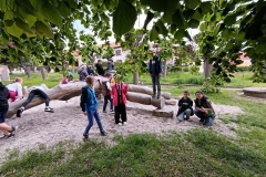 IMG_20250519_141612
