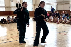 IMG_0301