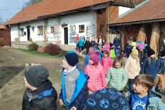 IMG20250402093724