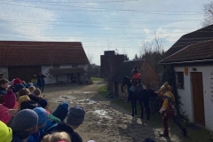 IMG_4600