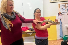 167d5fe0-a2e7-4ba2-9987-6b4a62c6b240