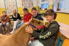 2f0d0fad-2d68-4020-9674-9271d5662c29