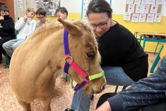 61a44ca8-34b1-4a9f-ac47-71915d5f8e95