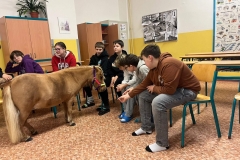 ec0c3395-cb10-477a-a7e4-7fd281789d42