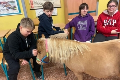 f04d58b5-2c44-49a3-87a8-5c7e14b4dab6