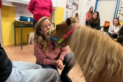 fc486edd-d759-4ca2-9525-a2b11fa8929e