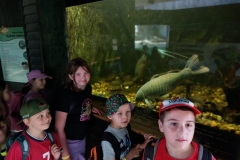 IMG-20260623-WA0013