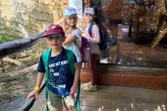 IMG-20260623-WA0046