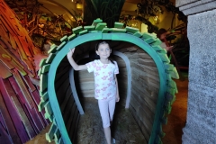 IMG_20260604_093738