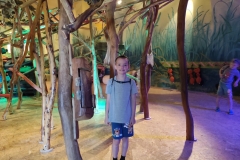 IMG_20260604_094051